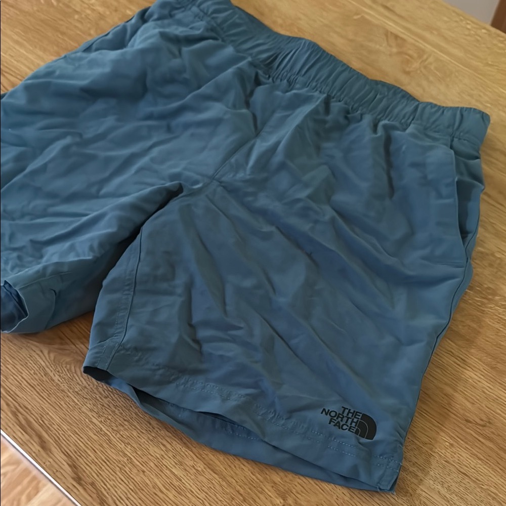 The North face mens swim trunks